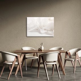 Obraz - Perie (70x50 cm)