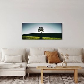 Obraz prírody - strom (120x50 cm)