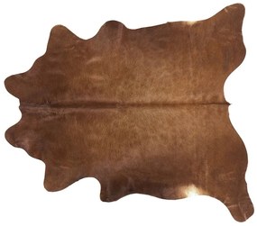 Koberec z hovädzej kože 2-3 m² zlatohnedý NASQU Beliani