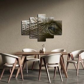 Obraz - Detailné fotografie starého slonieho oka (150x105 cm)