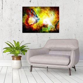 Obraz - Kozmický motýľ (70x50 cm)