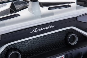 LEAN CARS Lamborghini Aventador SX2028 batérie auto biela