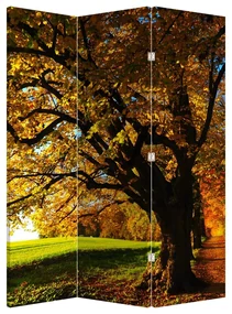 Paraván - Jeseň (126x170 cm)