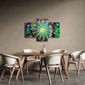 Obraz kaktusu (90x60 cm)
