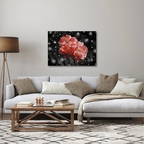 Obraz ružovej kvetiny (70x50 cm)