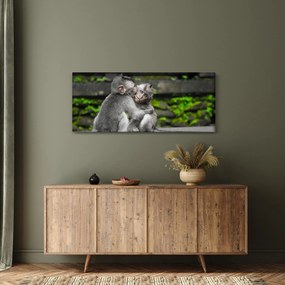 Obraz - opičky (120x50 cm)