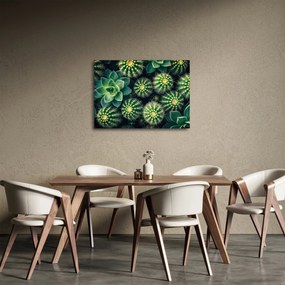Obraz - Kaktusy (70x50 cm)