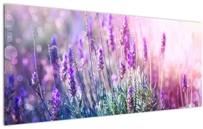 Obraz - Levanduľa vo trblietania slnka (120x50 cm)