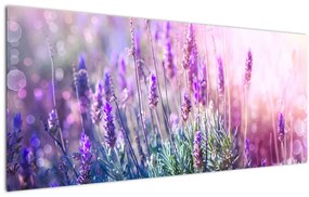 Obraz - Levanduľa vo trblietania slnka (120x50 cm)