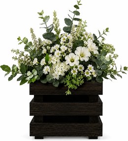 AMADEA Drevený obal na kvetináč - tmavý, 17x17x15cm, drevený kvetináč Český výrobek