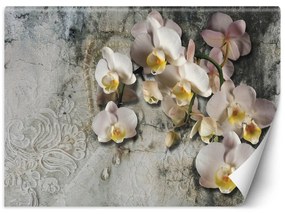 Fototapeta, Kvetoucí orchidej Květiny Stěna - 300x210 cm