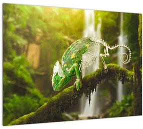 Sklenený obraz chameleóna (70x50 cm)