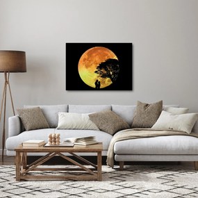 Obraz tieňov v mesačnom svetle (70x50 cm)