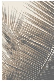 Koberec Frisee Beenom 0,8/1,5 1017 131