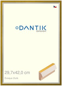 DANTIK rám na obraz 29,7x42 | EVOQUE žlutá (Plexi Čiré)
