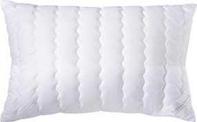 XXXLutz VANKÚŠ POD HLAVU, 40/80 cm Billerbeck - Prikrývky & vankúše - 003279053502