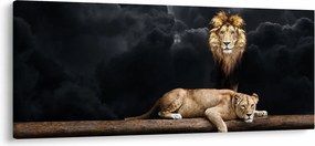 Obraz - Lev a levice v oblakoch (120x50 cm)