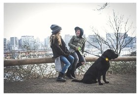 LED svetlo na obojok Green – Orbiloc