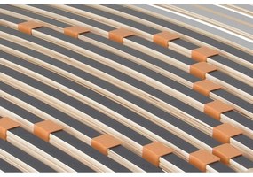 ECOMATRACE  LUXUSNÝ ROŠT TRIOFLEX MOTOR QUATTRO MEMORY RADIO