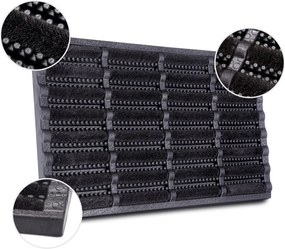 Hanse Home, DOPREDAJ: 40x60 cm Venkovní čistící rohož Mix Mats Brushes 105648 Black - na ven i na doma, 40x60, čierna, exteriér