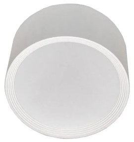LED Stropné svietidlo PERCI LED/30W/230V IP40 4000K biela