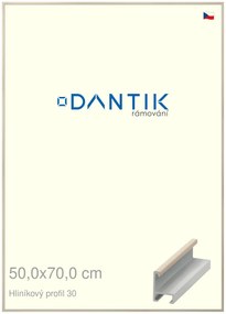 DANTIK rám na obraz 50x70 | ALU Dýha slovnová kost (Plexi Čiré)
