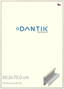 DANTIK rám na obraz 50x70 | ALU Dýha slovnová kost (Plexi Čiré)