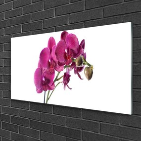 Skleneny obraz Orchidea kvety príroda 140x70 cm