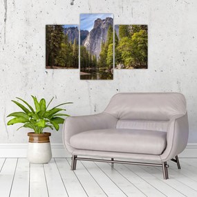 Obraz - Pod Yosemite skalou (90x60 cm)