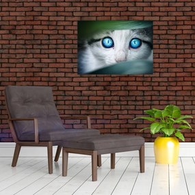 Sklenený obraz mačky (70x50 cm)