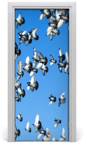Fototapeta na dvere holuby na nebi 75x205 cm