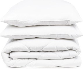 4Home Set prikrývky a vankúša Aloe Vera, 200 x 220 cm, 2 ks 70 x 90 cm, 200 x 220 cm, 2 ks 70 x 90 cm