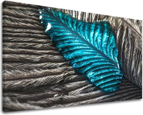 Obraz na stenu RASTLINY RA007E11