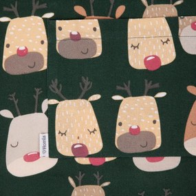 Kuchynská zástera REINDEER zelená 869377