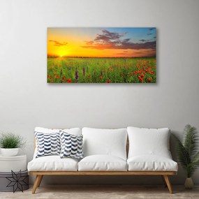 Obraz Canvas Slnko lúka kvety príroda 100x50 cm