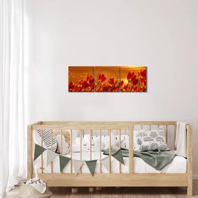 Obraz rozkvitnutého lánu s tulipánmi (s hodinami) (90x30 cm)