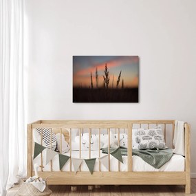Obraz - Silueta rastliny (70x50 cm)