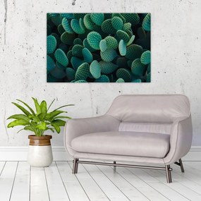 Obraz - Opuncie (90x60 cm)