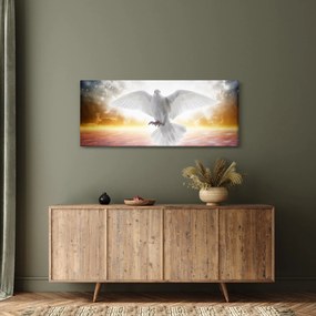 Obraz holubice (120x50 cm)