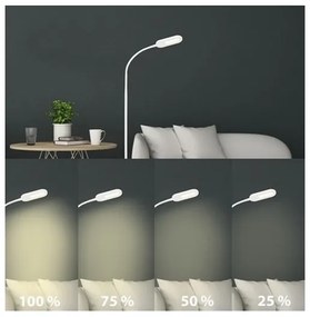 Briloner 1297-016 - LED Stmievateľná stojacia lampa LED/8W/230V