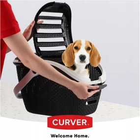 Curver Prepravka na zvieratá antracitové