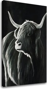 Obraz na plátne BÝK 002