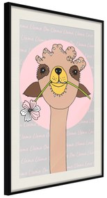 Artgeist Plagát - Happy Llama [Poster] Veľkosť: 20x30, Verzia: Čierny rám s passe-partout