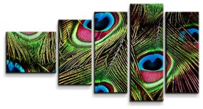 Sablio Obraz - 5-dílný Pávie perie - 100x60 cm