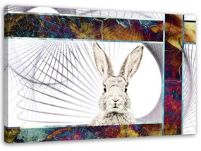 Obraz na plátně Zvířata králíků - 90x60 cm