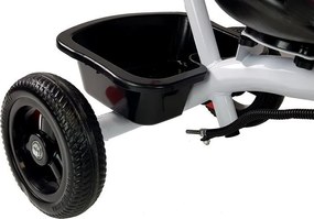 LEAN Toys Detská trojkolka PRO300 červená