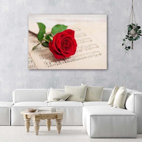 Gario Obraz na plátne Ruža na notách Rozmery: 60 x 40 cm