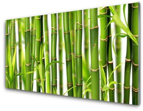 Skleneny obraz Bambusové výhonky listy bambus 120x60 cm