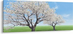 Obraz stromov (120x50 cm)