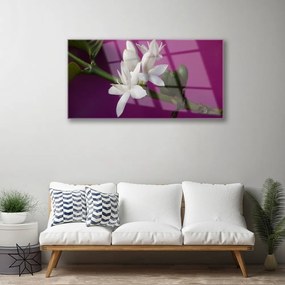 Skleneny obraz Kvety úhonky príroda 120x60 cm